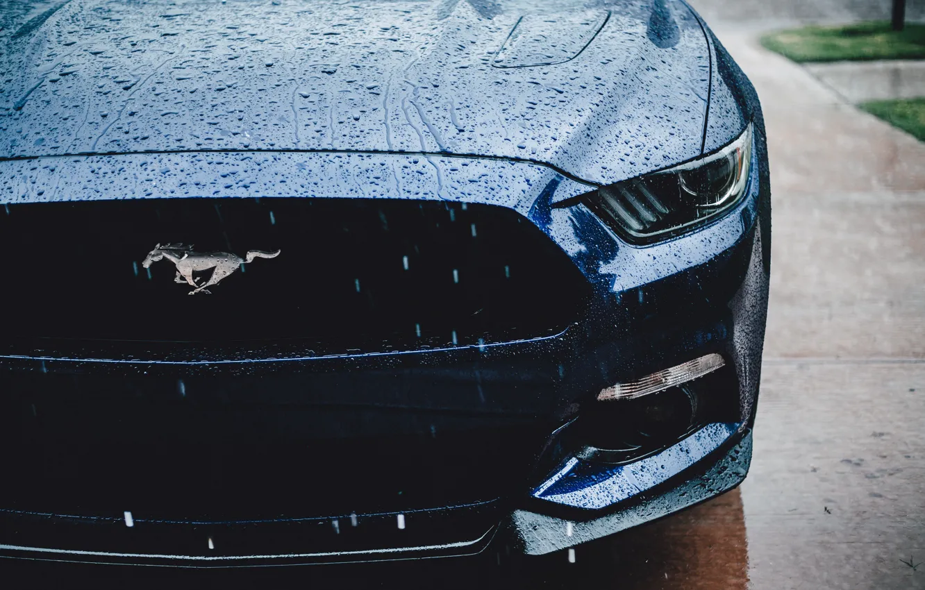 Фото обои Ford Mustang, muscle car, water drops