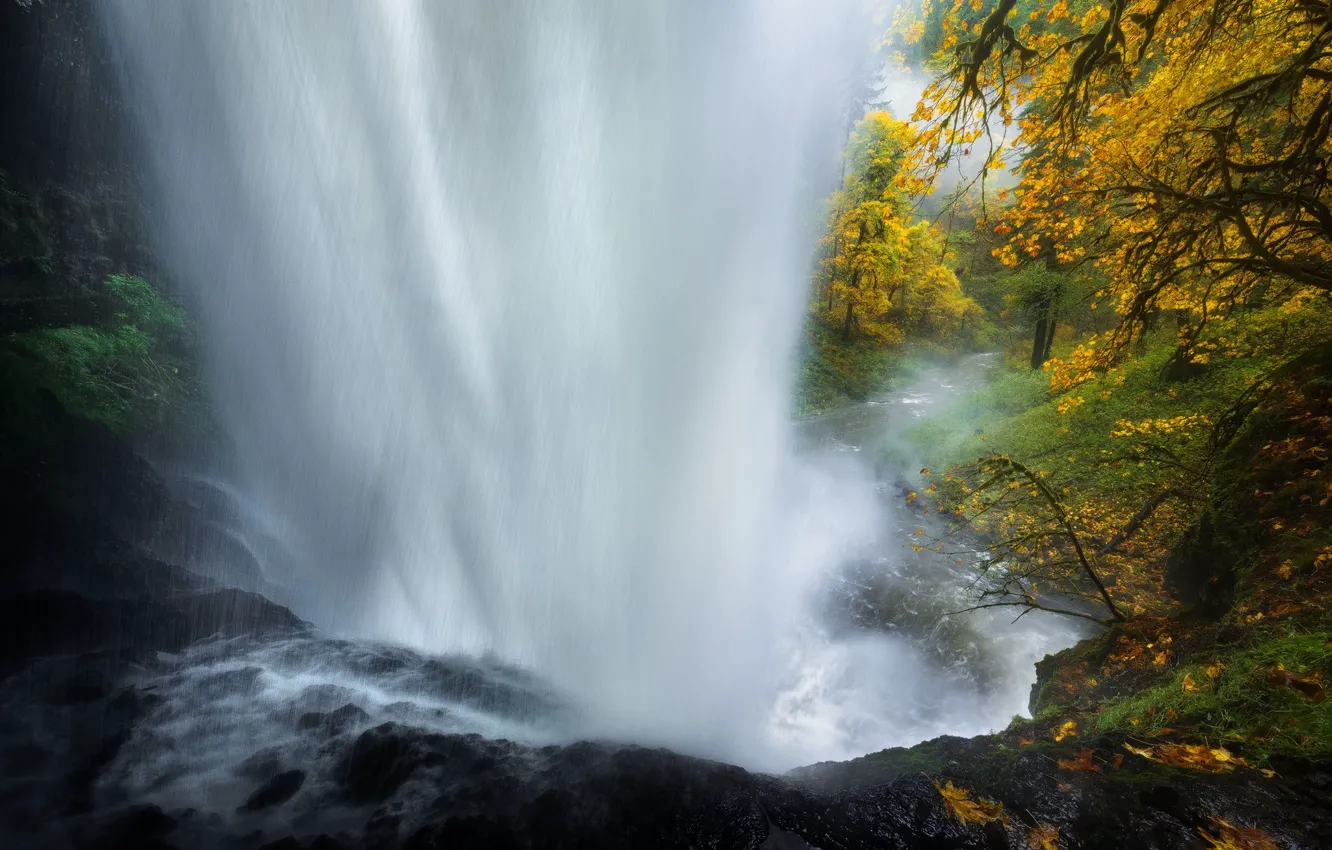 Фото обои осень, лес, природа, водопад