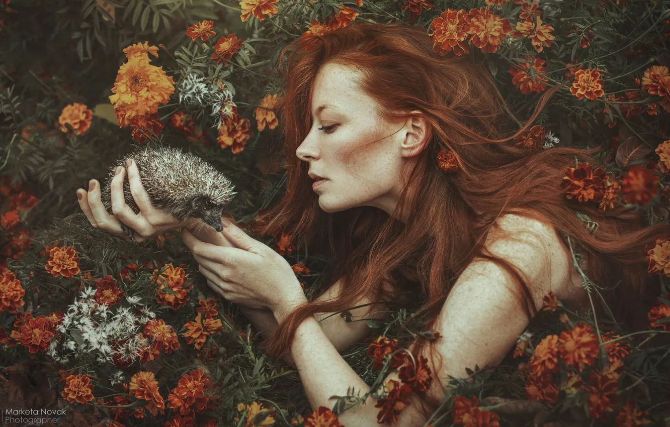 Фото обои девушка, цветы, лицо, настроение, руки, профиль, рыжая, рыжеволосая, длинные волосы, ёжик, бархатцы, Marketa Novak, Barbora …