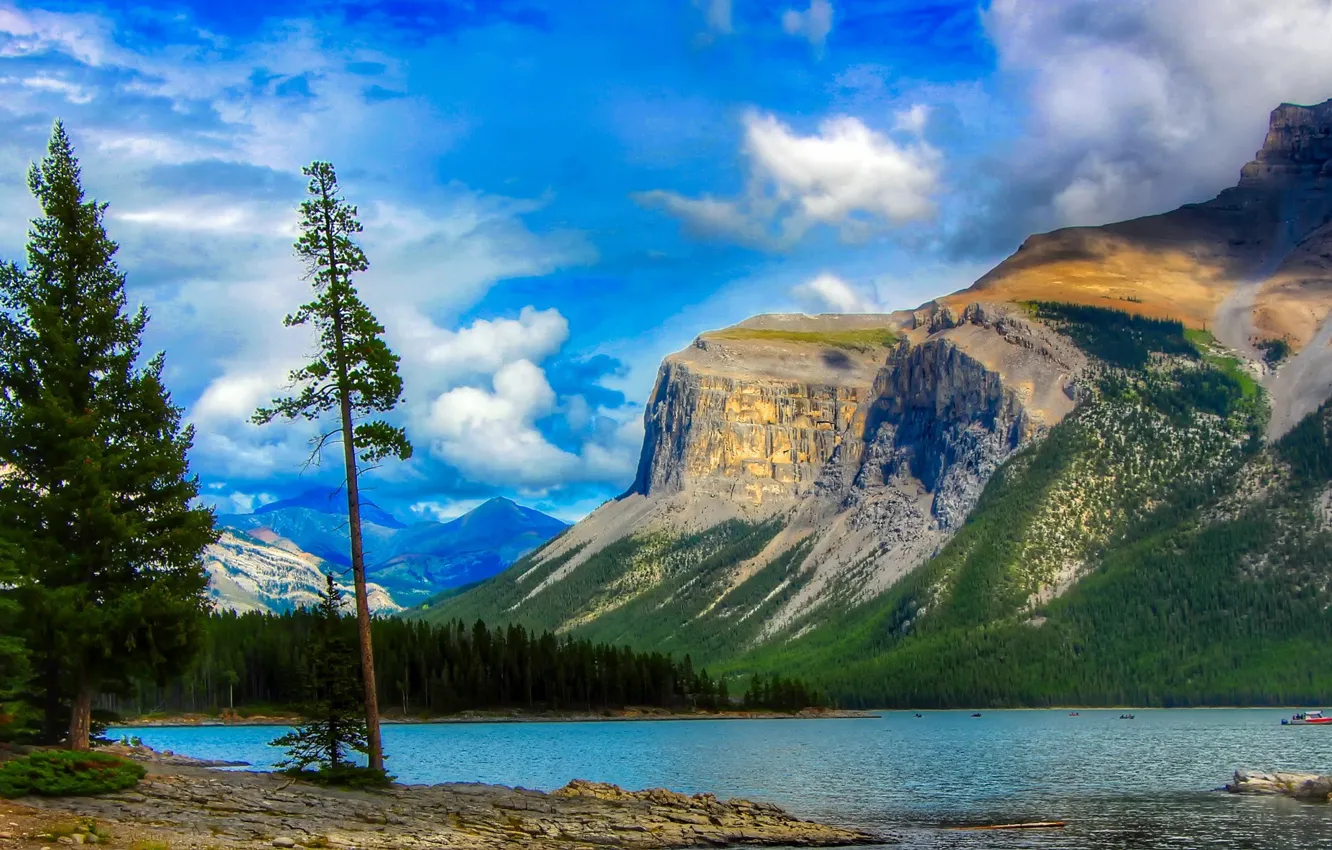 Фото обои лес, облака, деревья, пейзаж, горы, природа, озеро, США, заповедник, Национальный парк Глейшер