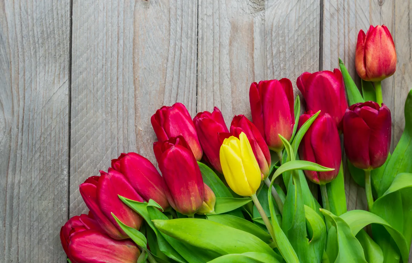 Фото обои цветы, букет, colorful, тюльпаны, red, wood, flowers, tulips, bouquet