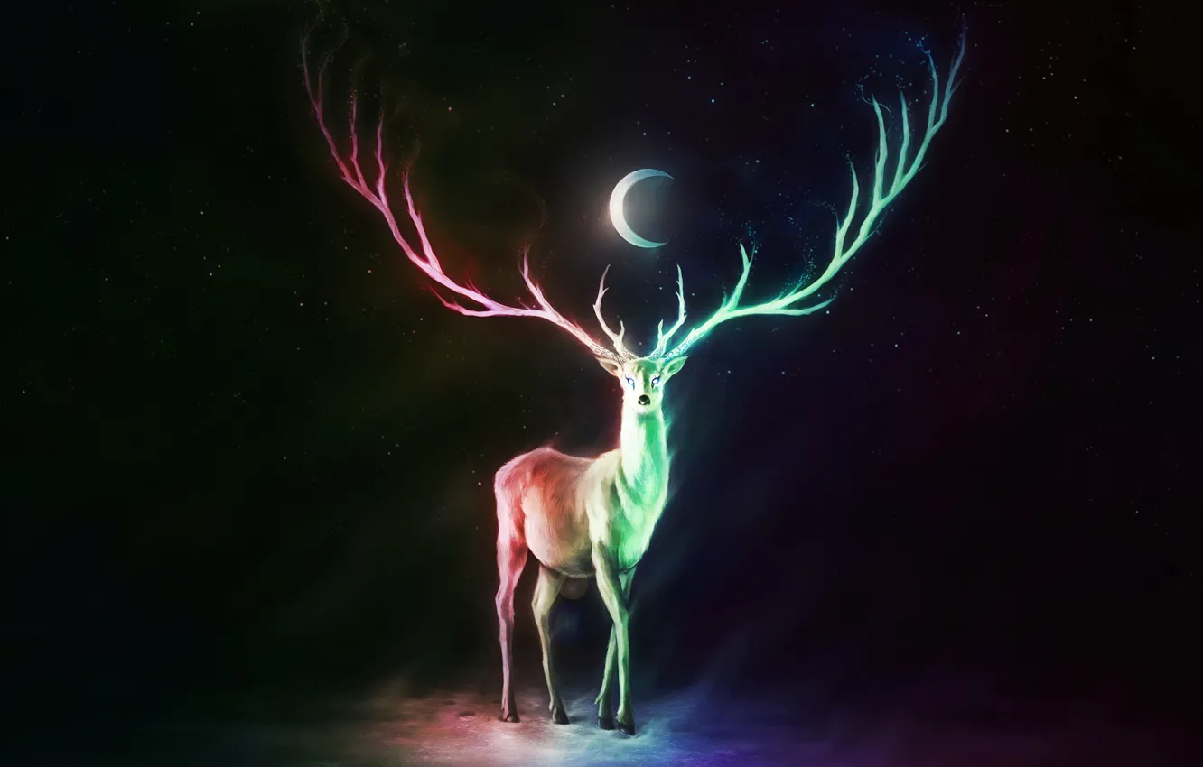Фото обои colorful, moon, fantasy, horns, stars, animal, digital art, artwork, fantasy art, Deer