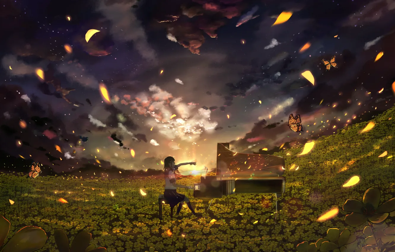 Фото обои девушка, закат, поляна, пианино, желтые цветы