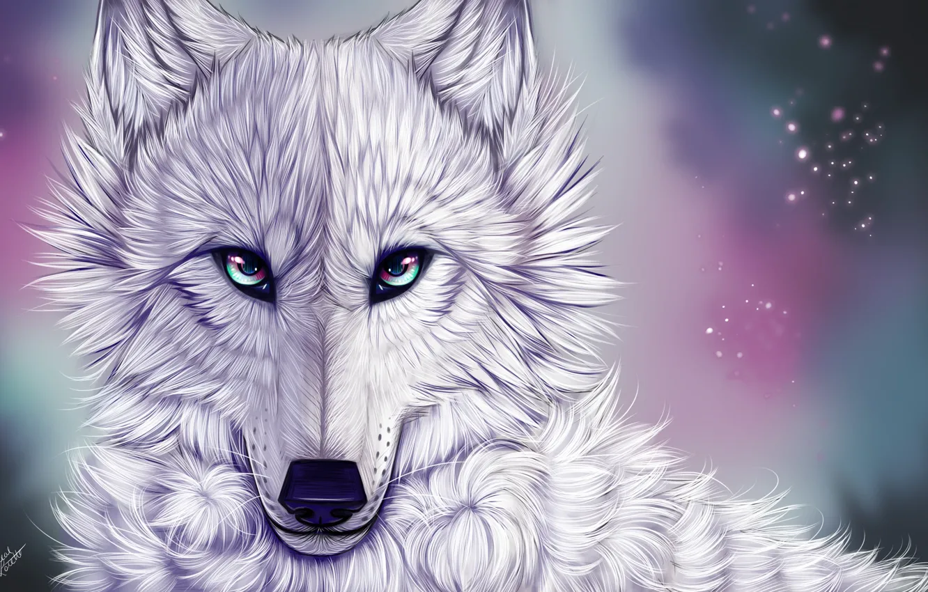 Фото обои взгляд, волк, белый волк, myarukawolf, by myarukawolf