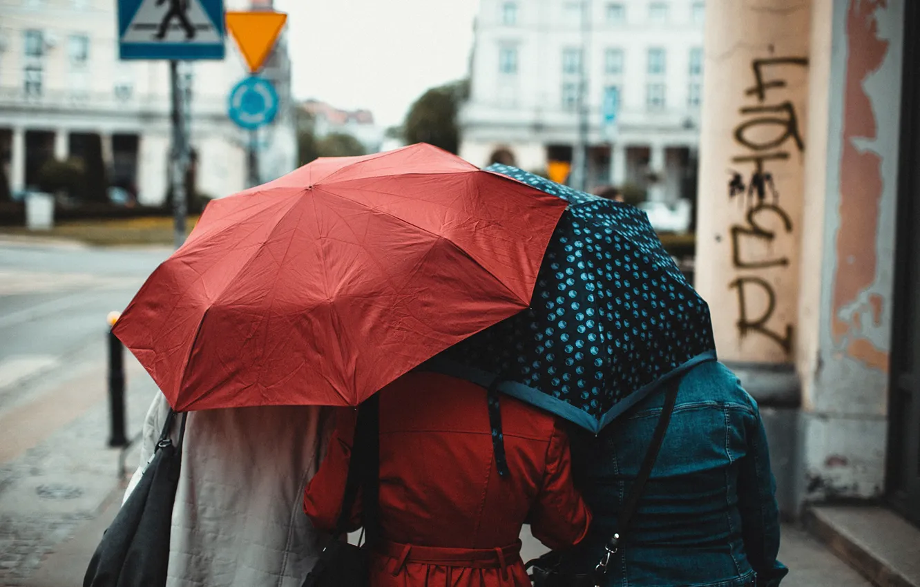 Фото обои девушки, улица, переход, зонты, Erik Witsoe