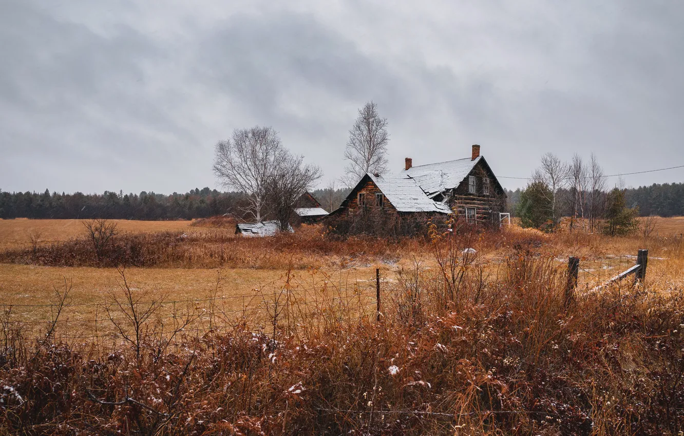 Фото обои зима, поле, дом