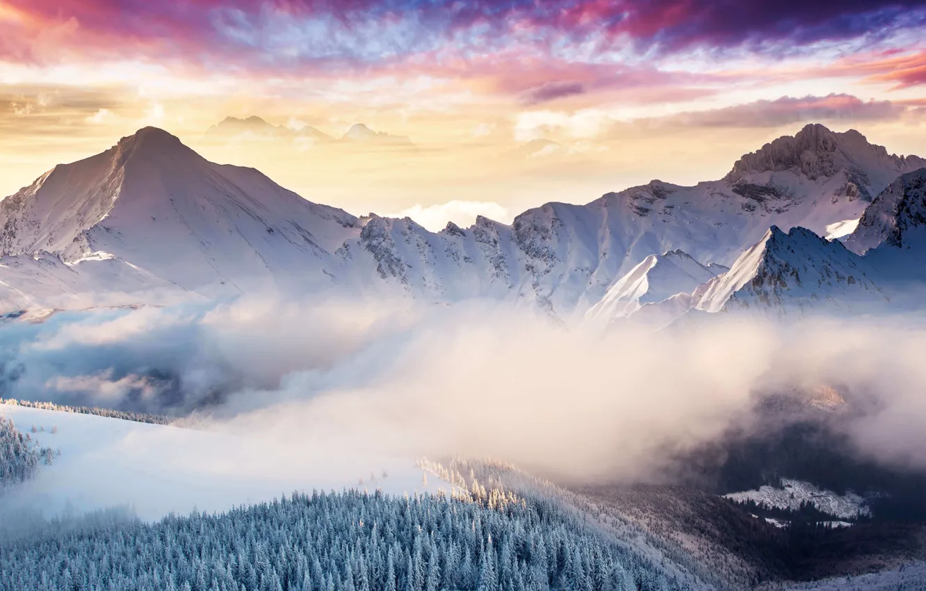 Фото обои зима, лес, небо, облака, снег, горы, природа, туман, скалы
