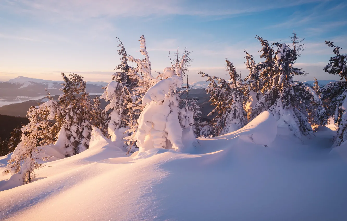 Фото обои зима, иней, лес, небо, облака, свет, снег, деревья, пейзаж, горы, природа, нежный, холмы, ветви, голубое, …