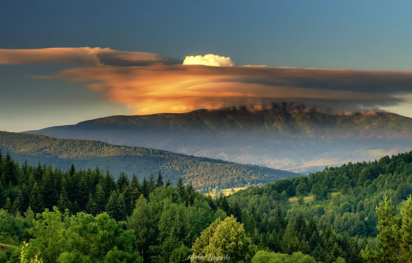 Фото обои лес, облака, деревья, горы