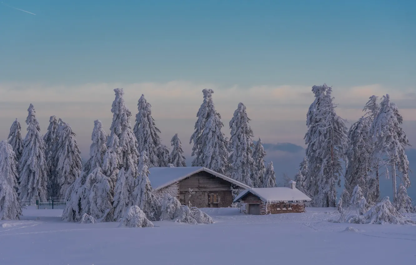 Фото обои зима, снег, деревья, пейзаж, природа, дом, ели, сарай