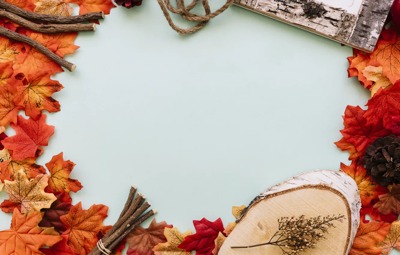 Фото обои осень, листья, фон, дерево, colorful, wood, background, autumn, leaves, осенние, maple