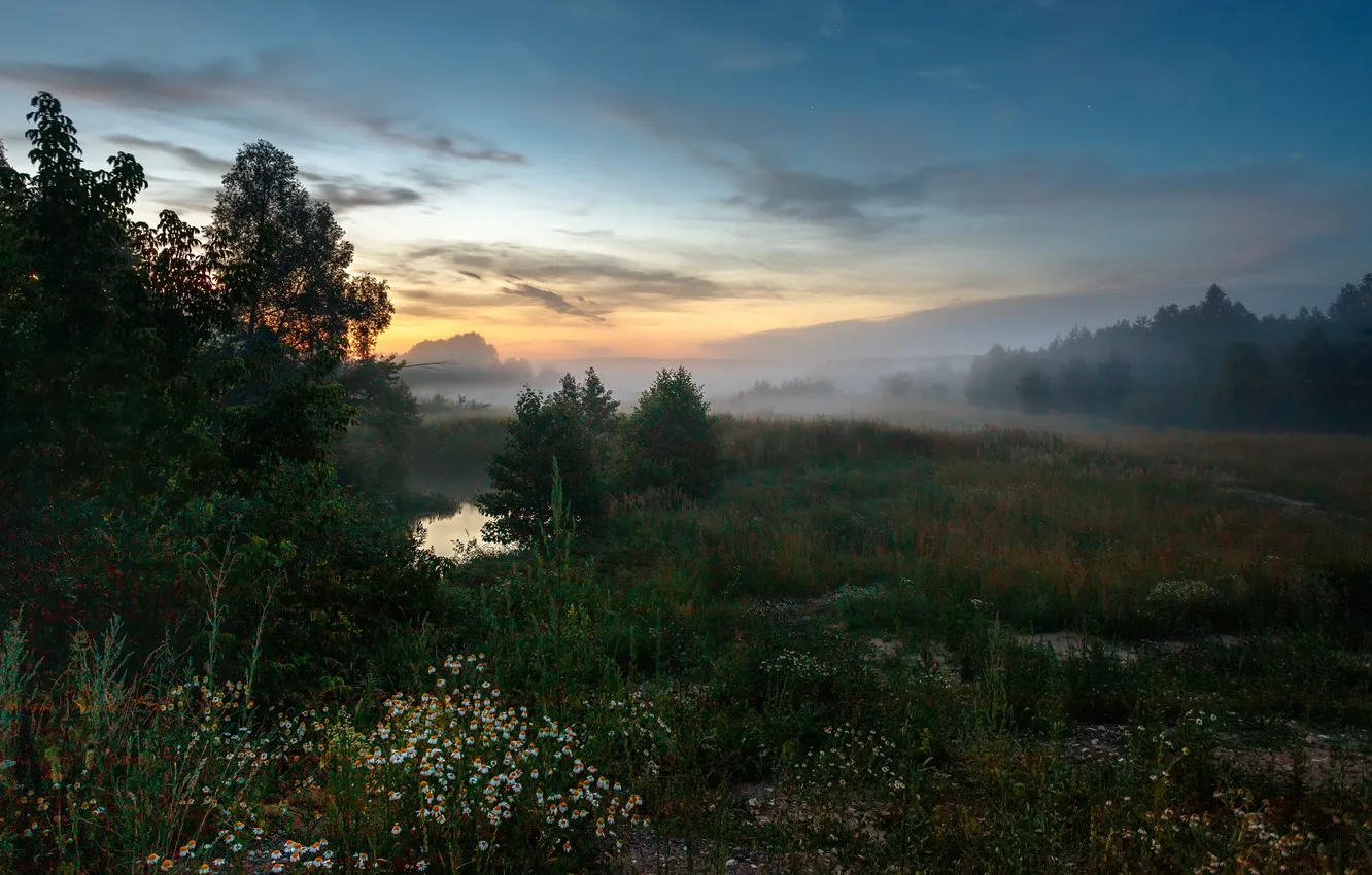 Фото обои деревья, пейзаж, природа, туман, вечер, луг, травы, Сергей Сергеев