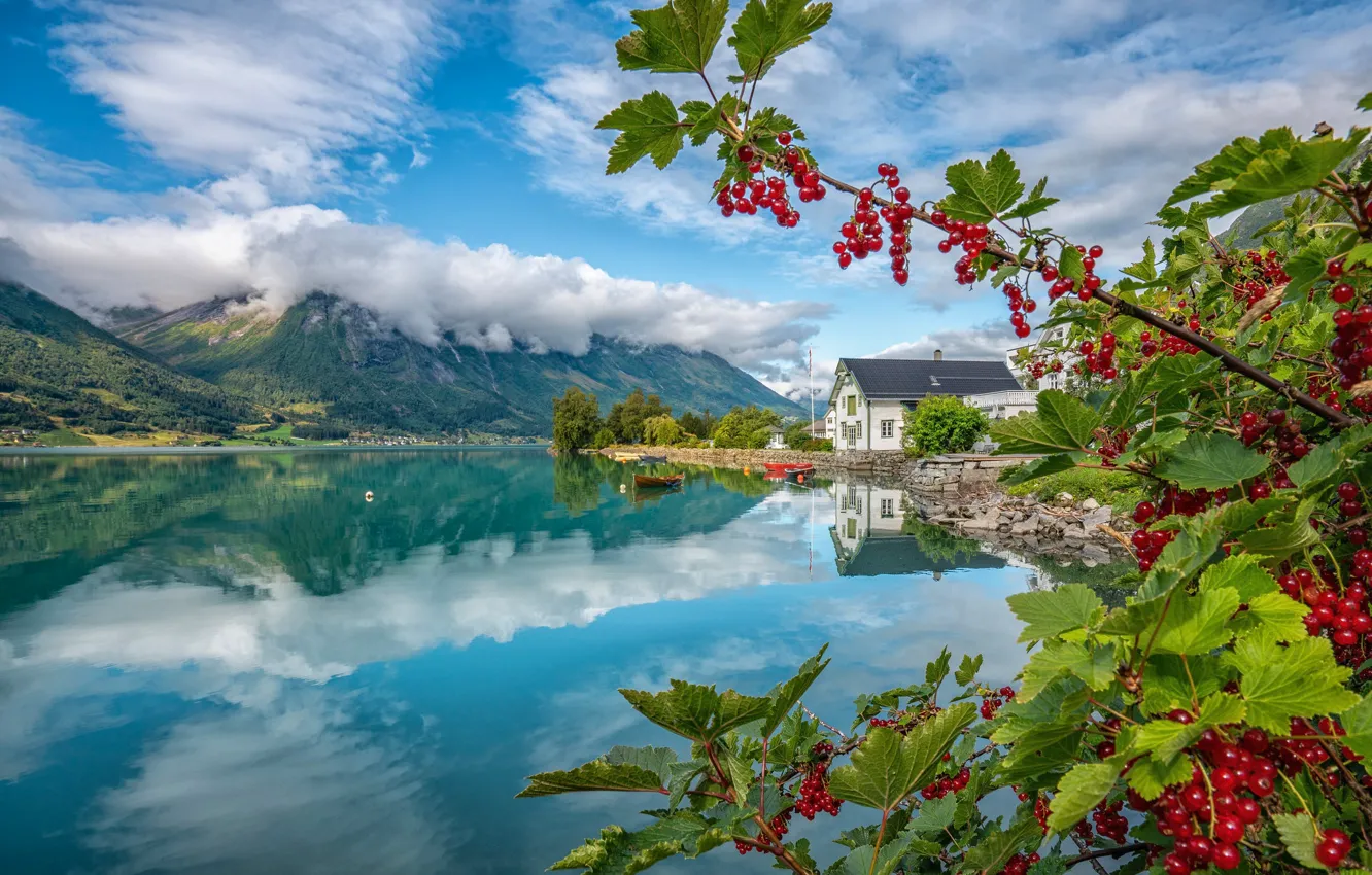 Фото обои горы, озеро, дом, отражение, ягоды, лодки, Норвегия, красная смородина