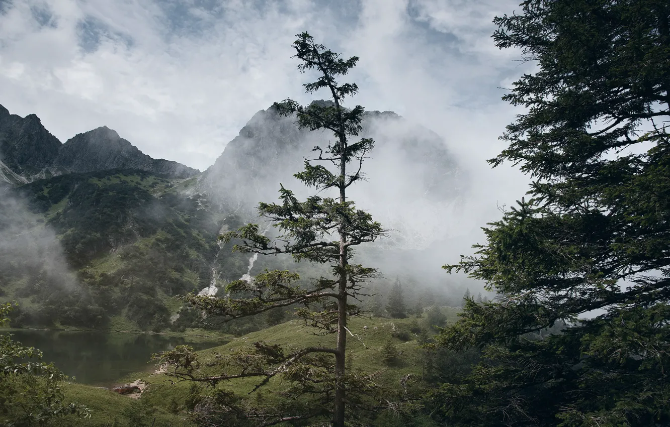 Фото обои небо, облака, деревья, горы, природа, туман, озеро, скалы