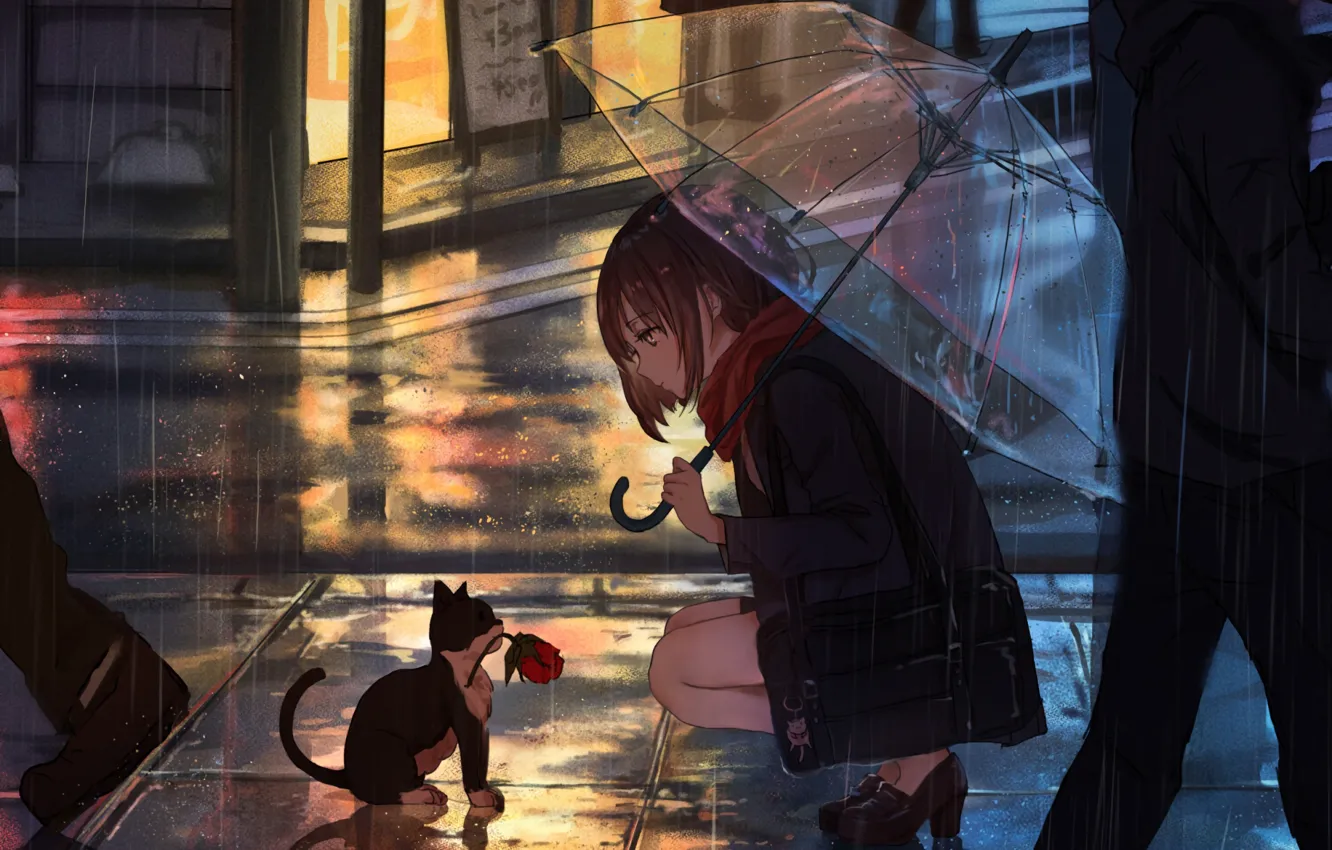 Фото обои Girl, Anime, Flower, Rain, Umbrella, Cat