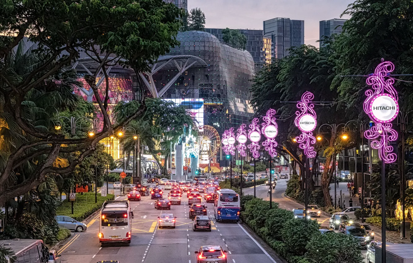 Фото обои дорога, деревья, машины, город, транспорт, здания, вечер, освещение, Сингапур, Orchard Road