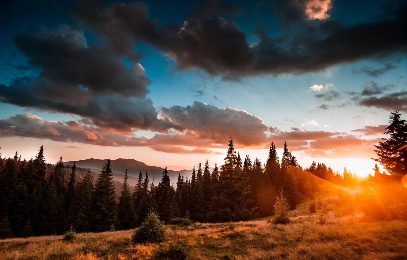 Фото обои лес, небо, солнце, облака, свет, закат, горы, тучи, природа
