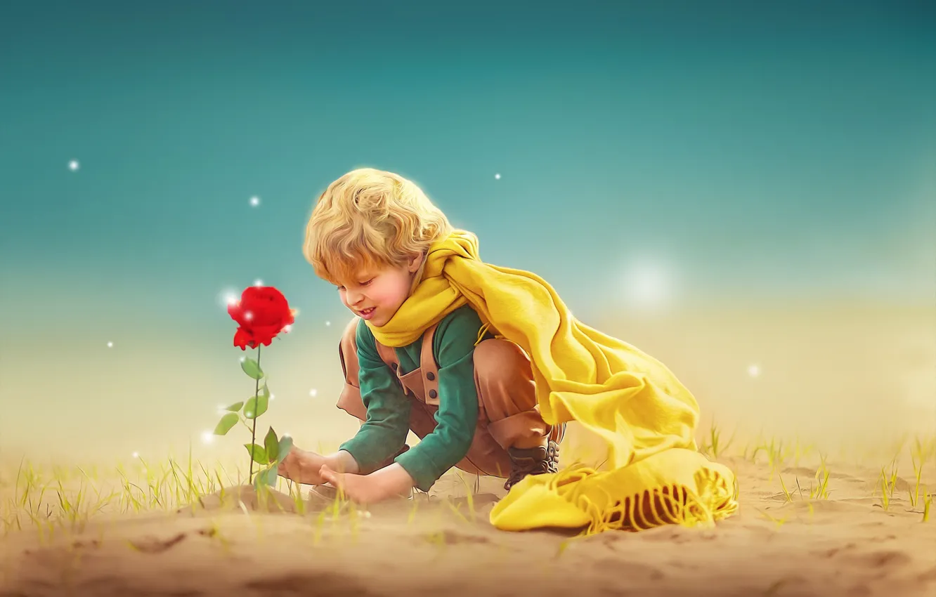 Фото обои цветок, роза, мальчик, ребёнок, фотоарт, Ксения Лысенкова, Маленький принц
