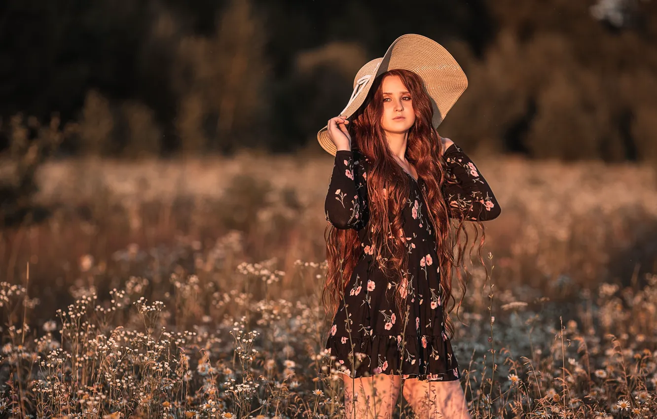 Фото обои поле, лето, девушка, закат, цветы, природа, ромашки, шляпа, платье, рыжая, травы, локоны, Владимир Васильев
