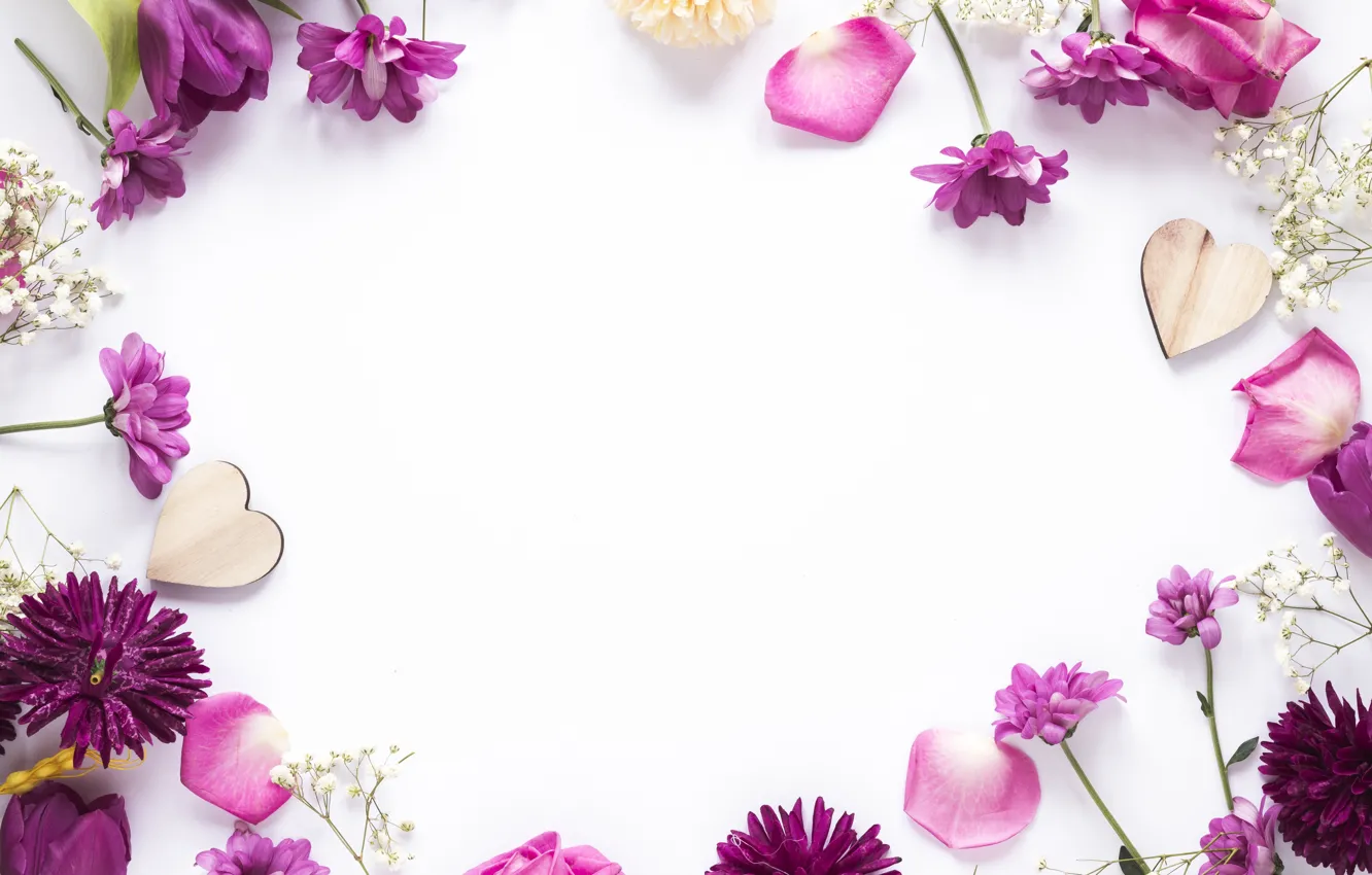 Фото обои цветы, рамка, лепестки, flowers, purple, petals, frame, floral