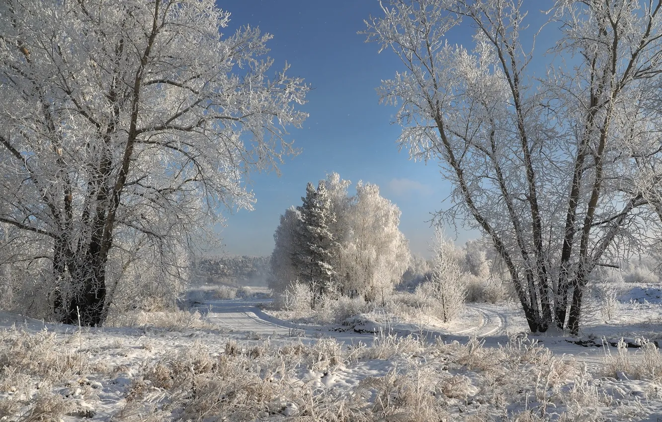 Фото обои зима, иней, дорога, снег, деревья, пейзаж, природа, мороз