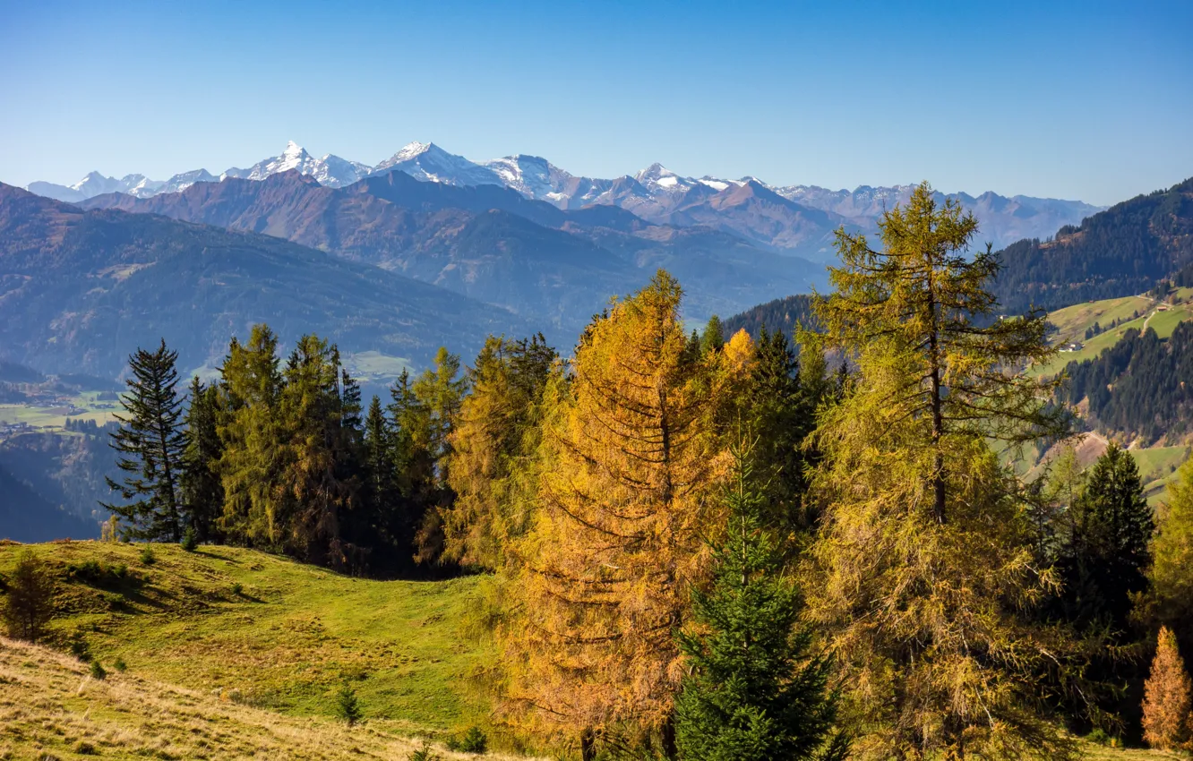Фото обои осень, деревья, горы, октябрь, Австрия