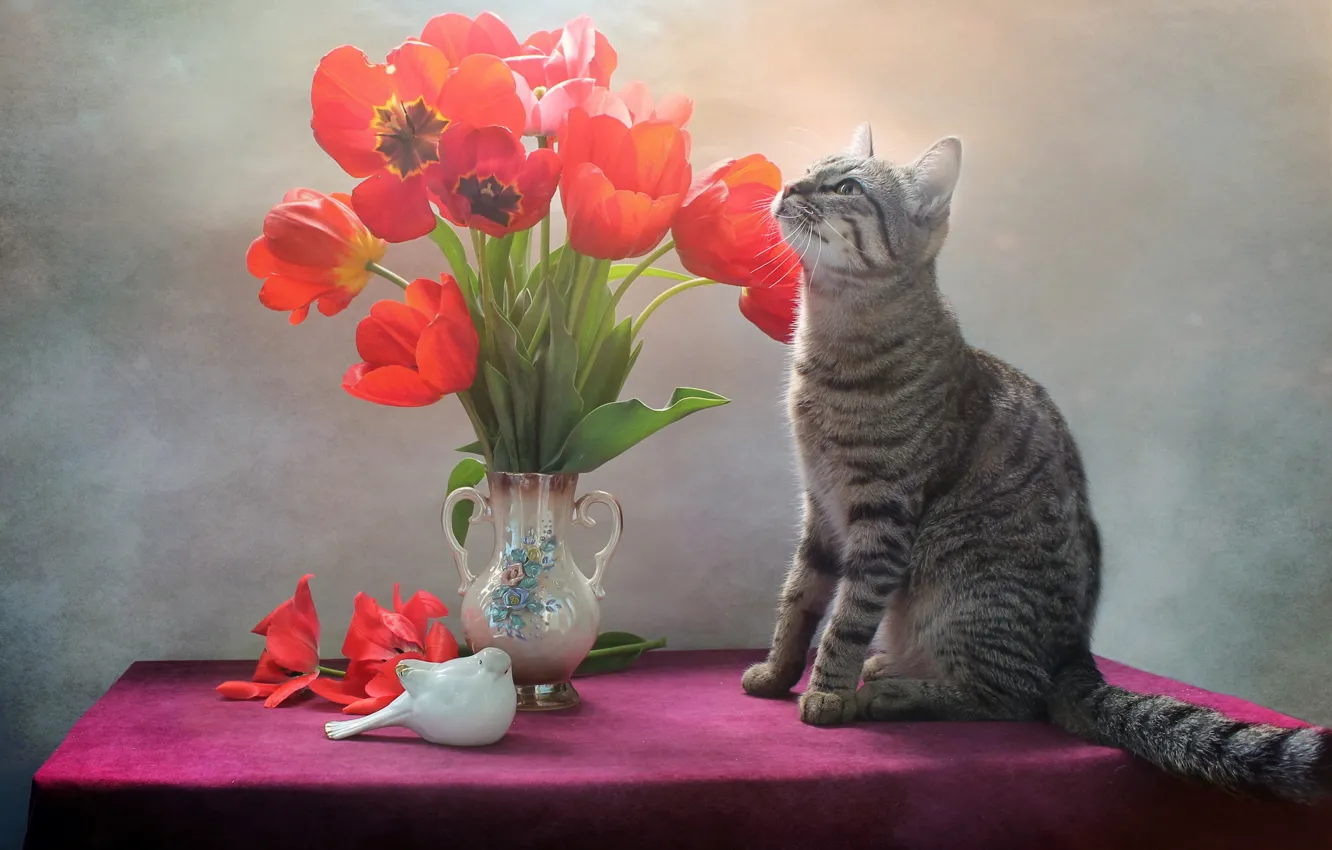 Фото обои кошка, кот, цветы, тюльпаны, ваза, птичка, фигурка, Ковалёва Светлана, Светлана Ковалёва
