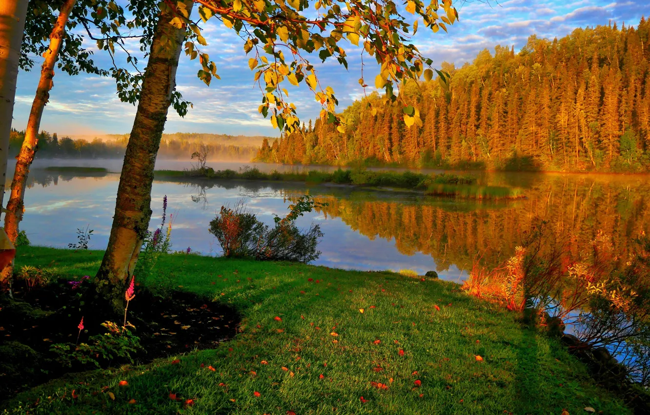 Фото обои осень, деревья, пейзаж, природа, туман, озеро, Канада, берёзы, леса, берега, Квебек