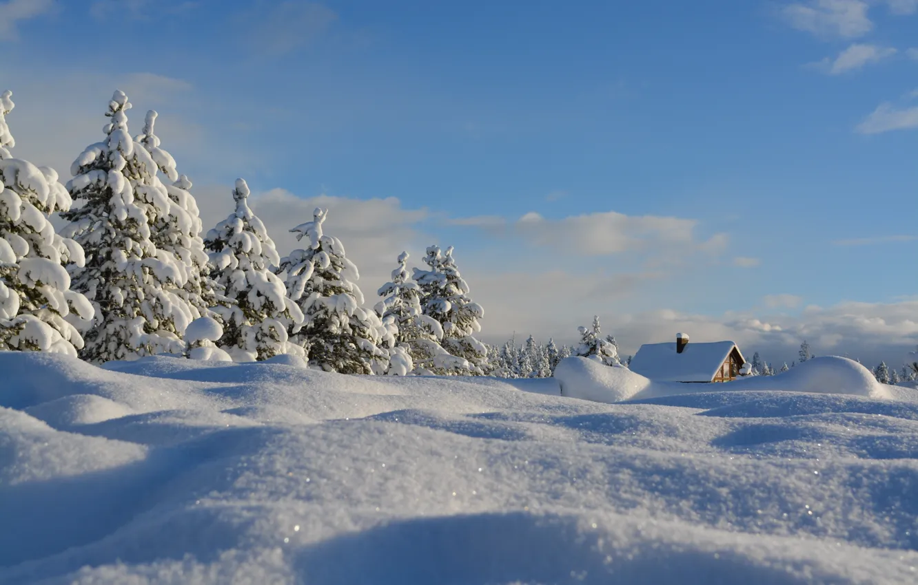 Фото обои зима, небо, снег, деревья, пейзаж, природа, ели, домик, ёлки