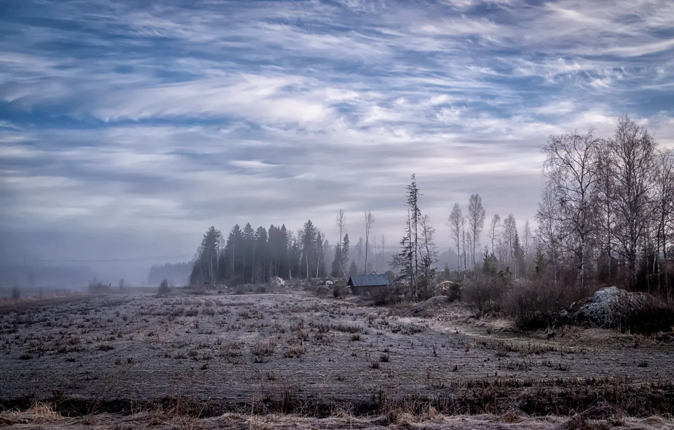 Фото обои поле, лес, туман, дом