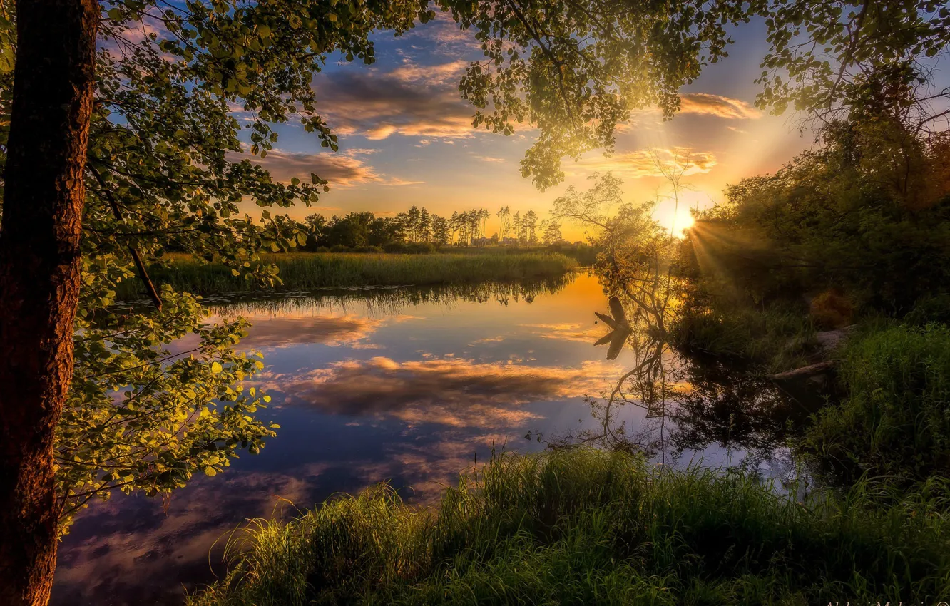 Фото обои небо, солнце, деревья, закат, природа, река, Алексей Малыгин