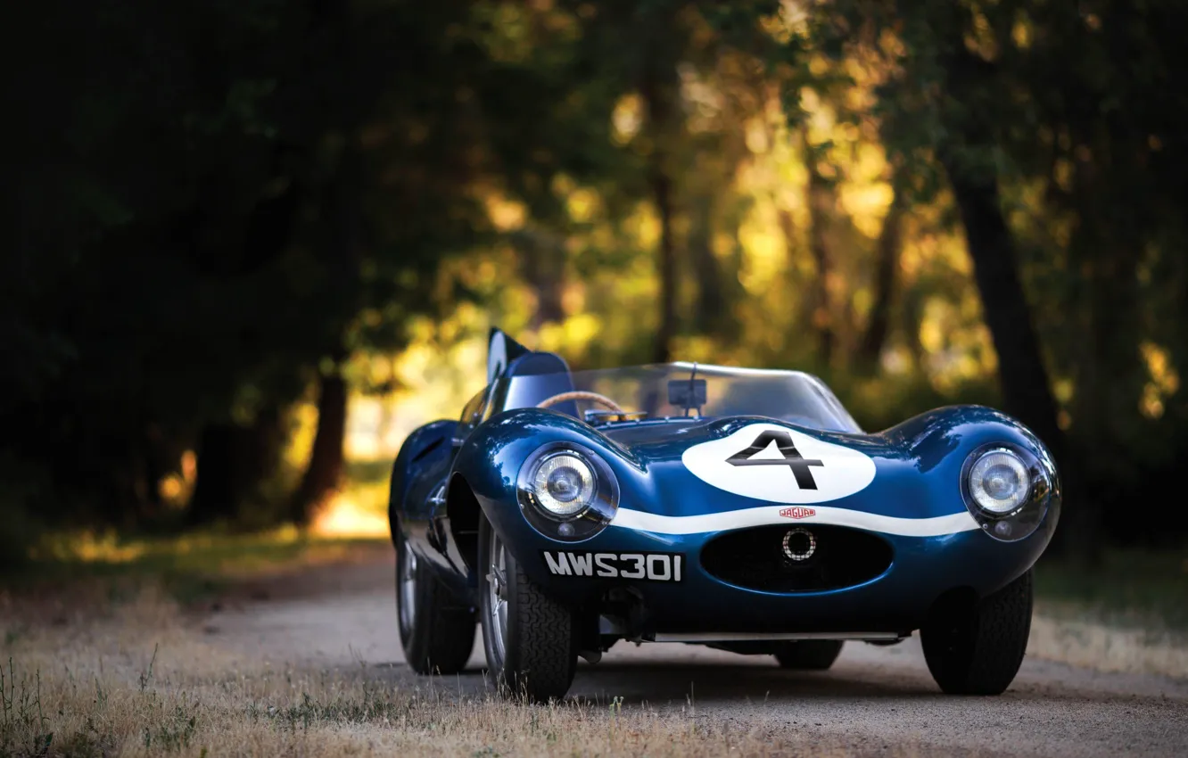 Фото обои Blue, Race Car, Number, Jaguar D-Type