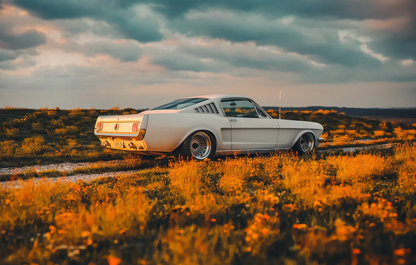 Фото обои Mustang, Ford, Shelby, Car, Sunset, GT350
