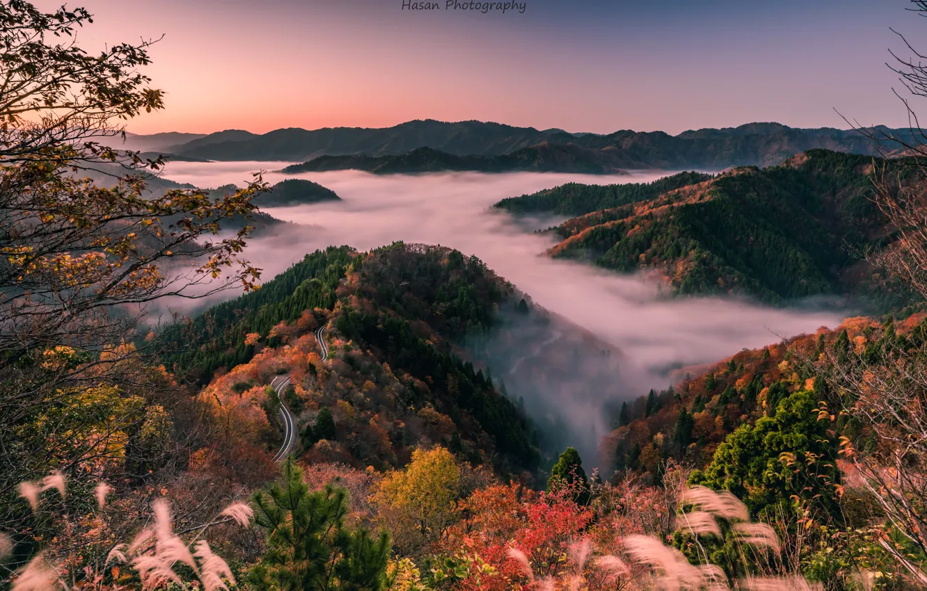 Фото обои Japan, утренний туман, Shiga Prefecture, лесистые холмы