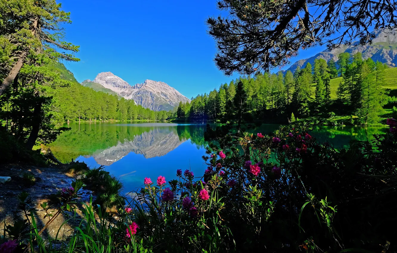 Фото обои горы, озеро, Швейцария