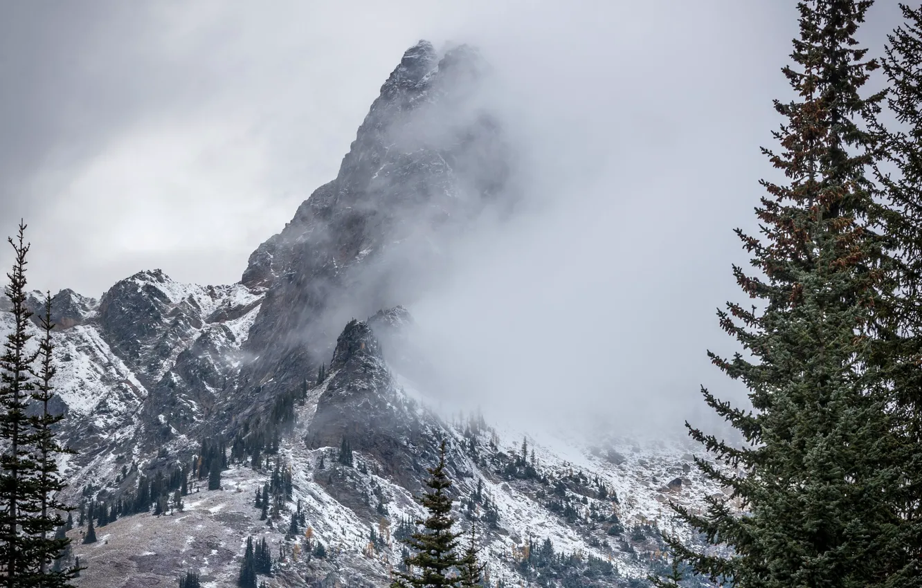 Фото обои зима, небо, снег, деревья, горы, природа, скалы