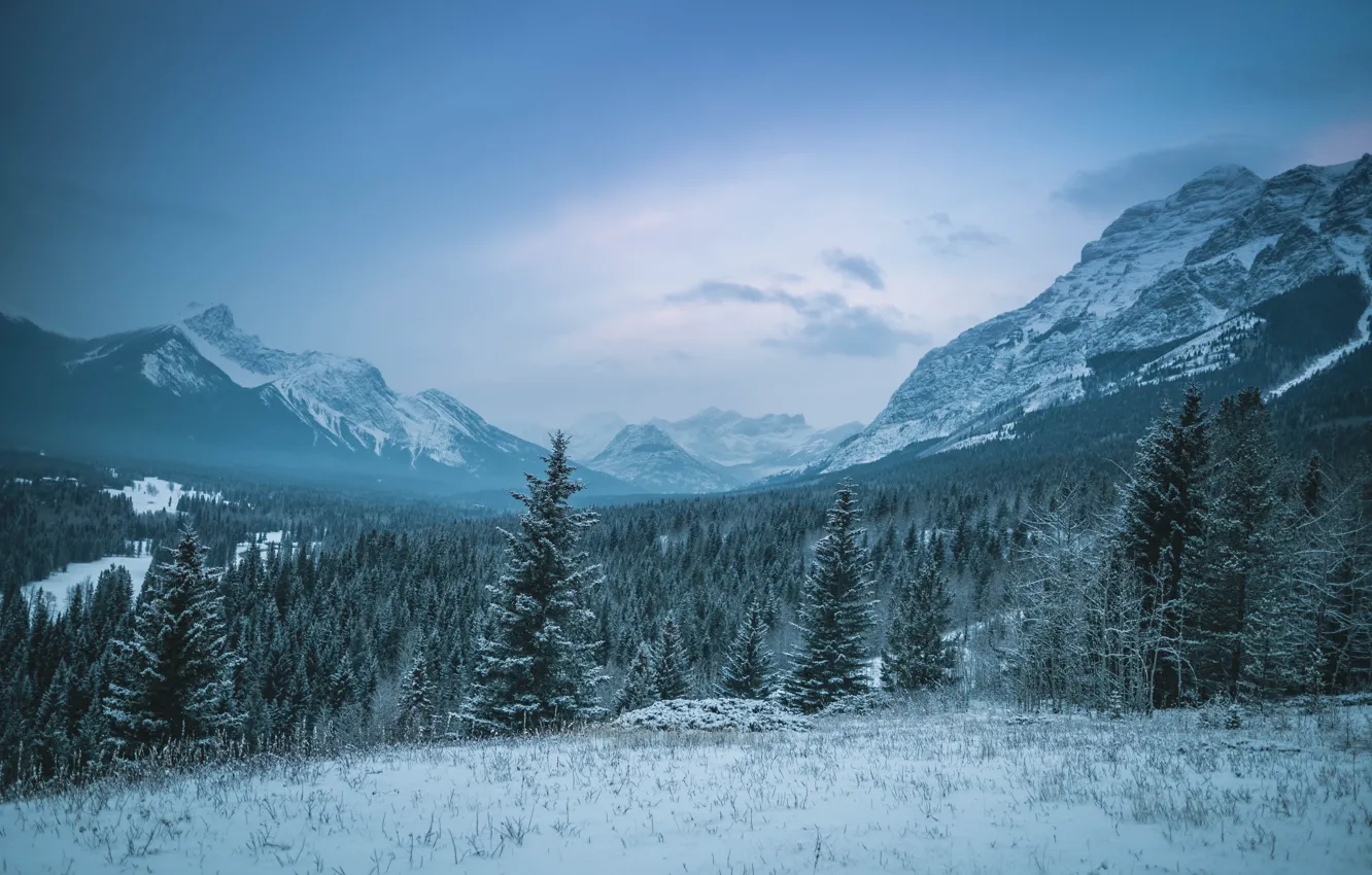 Фото обои зима, лес, небо, облака, снег, деревья, горы, природа, скалы, Канада, Кананаскис