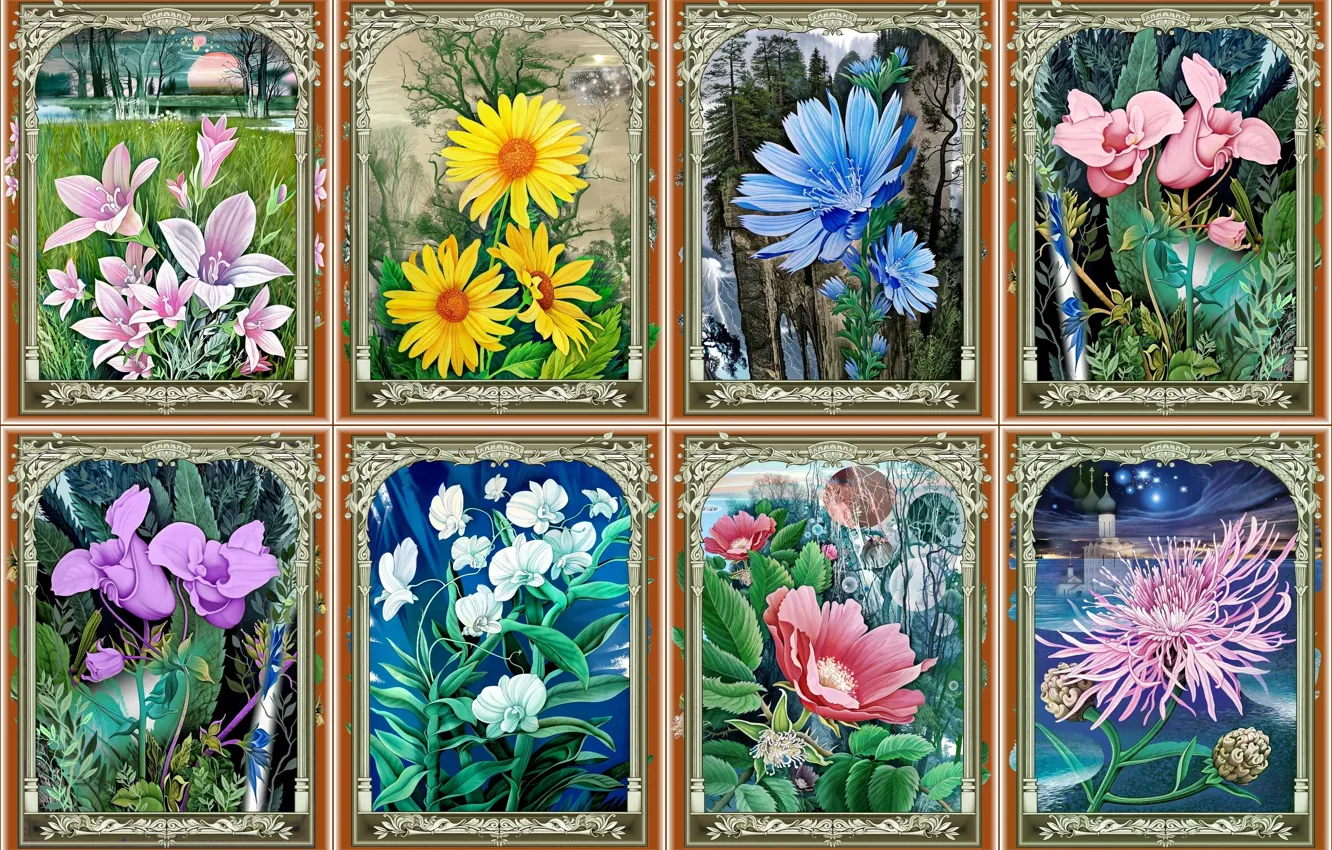 Фото обои цветы, времена года, живопись, орхидеи, коллаж из картин, художник Константин Авдеев, весна-лето-осень-зима, колокольчики-ромашки-цикорий-шиповник-хризантема