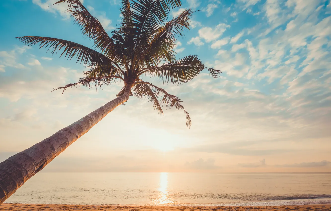 Фото обои песок, море, волны, пляж, лето, небо, закат, пальмы, берег, summer, beach, sea, sunset, seascape, beautiful, …