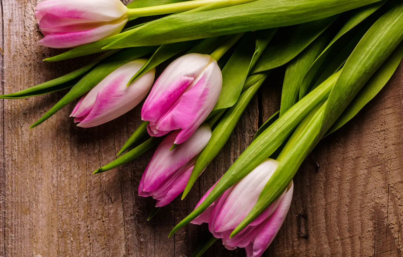 Фото обои цветы, букет, тюльпаны, розовые, fresh, wood, pink, flowers, beautiful, romantic, tulips, spring
