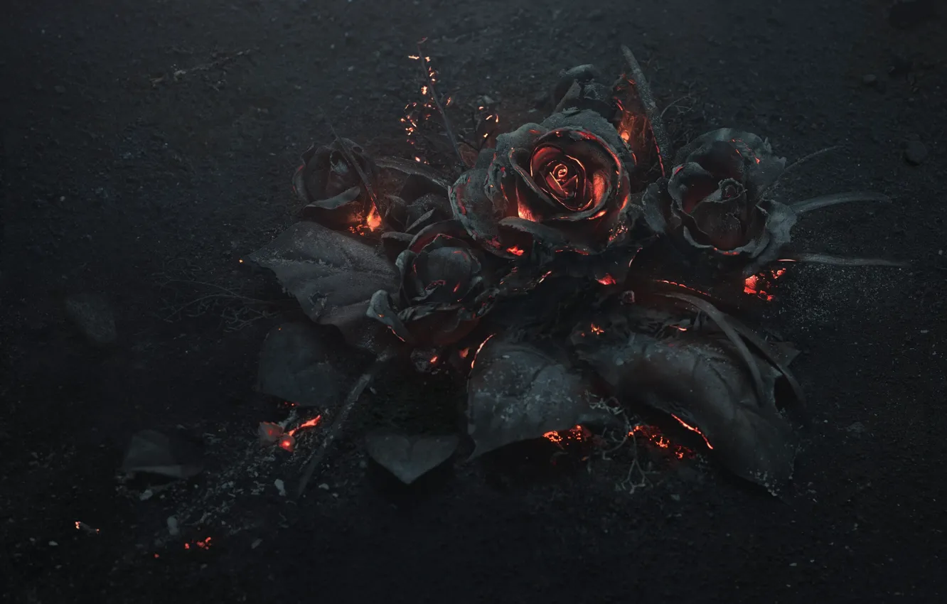 Фото обои пепел, угли, art, зола, черные розы, сожженный, Arsthanea