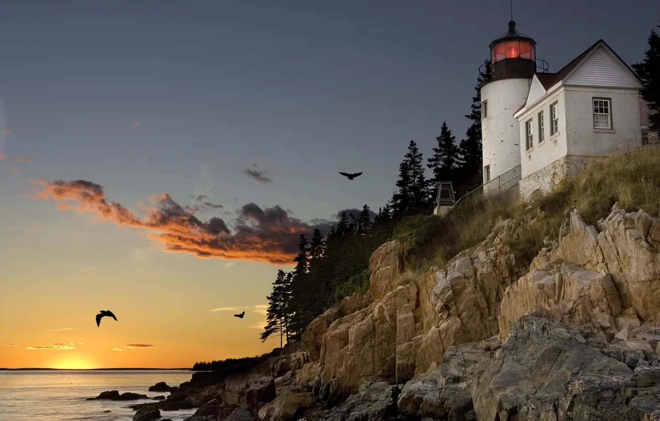 Фото обои закат, птицы, скала, маяк, чайки, порт, залив, США, Мэн, Бар-Харбор