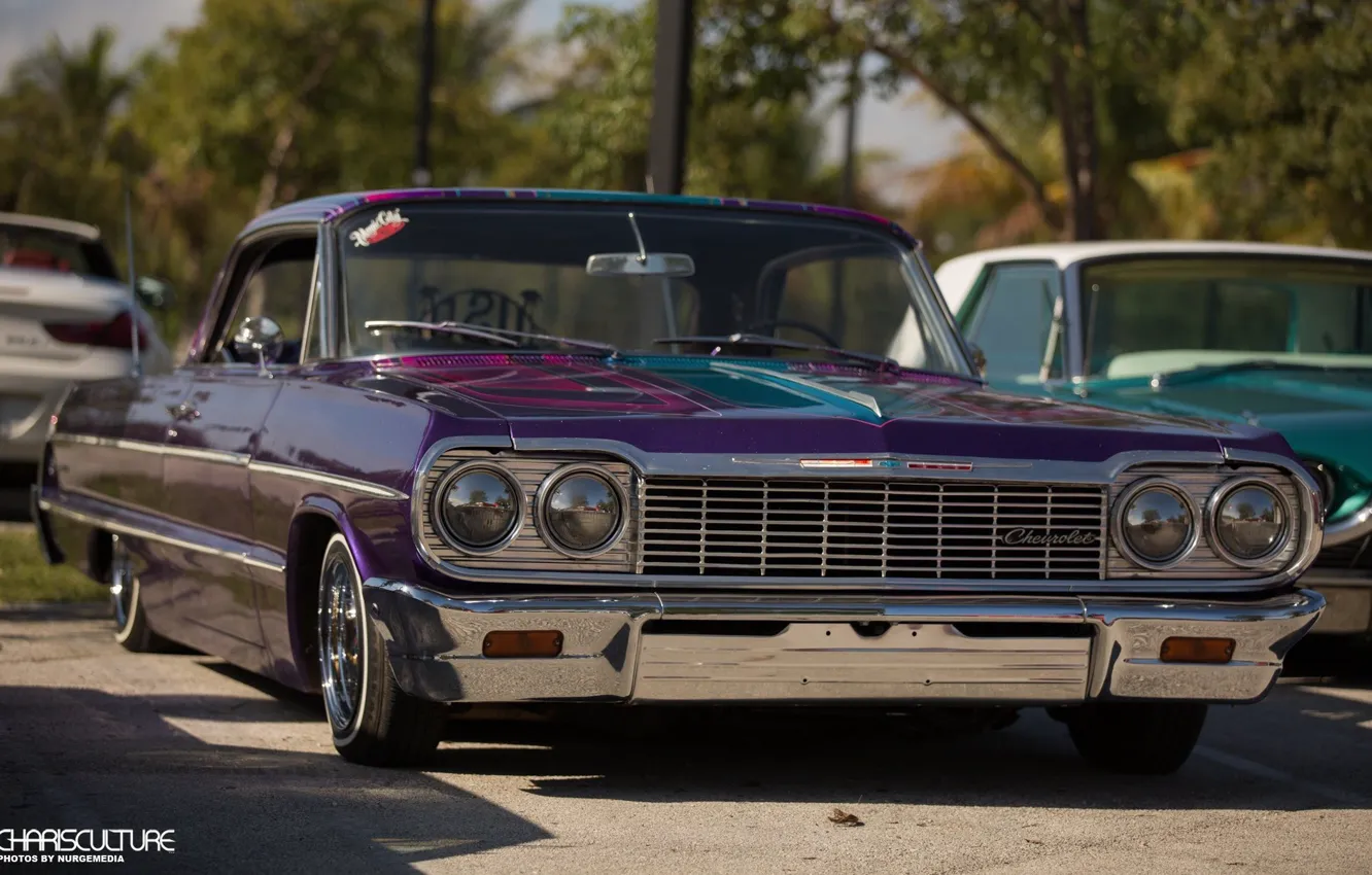 Фото обои Chevrolet, Purple, Impala, Lowrider, Custom. 