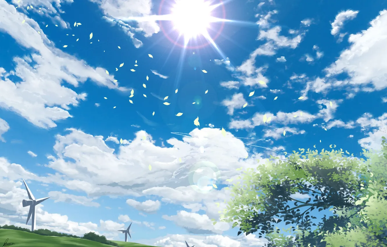 Фото обои небо, солнце, природа, ветряки
