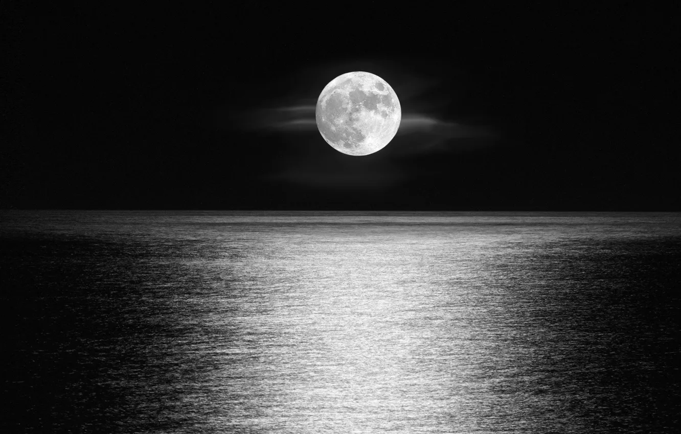Фото обои фон, луна, черный цвет