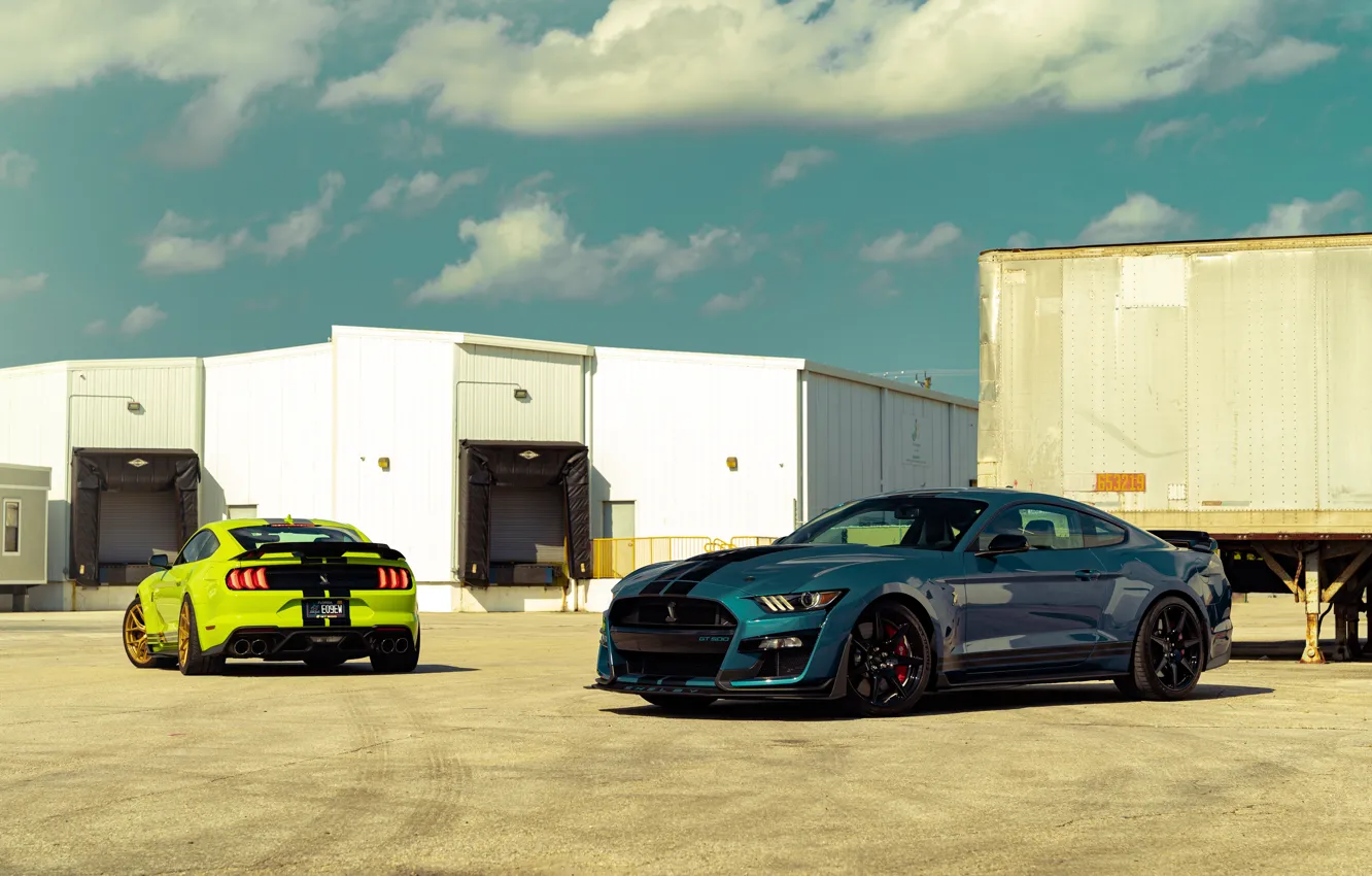 Фото обои Ford, Shelby, GT500, Cars