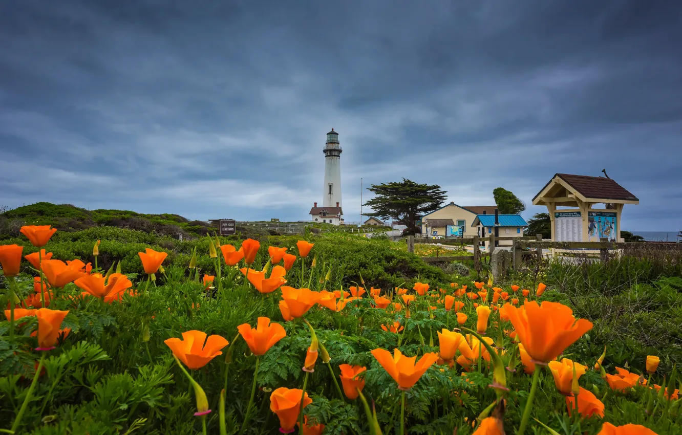 Фото обои пейзаж, цветы, тучи, природа, океан, берег, маяк, Калифорния, домики, США, Pigeon Point Lighthouse