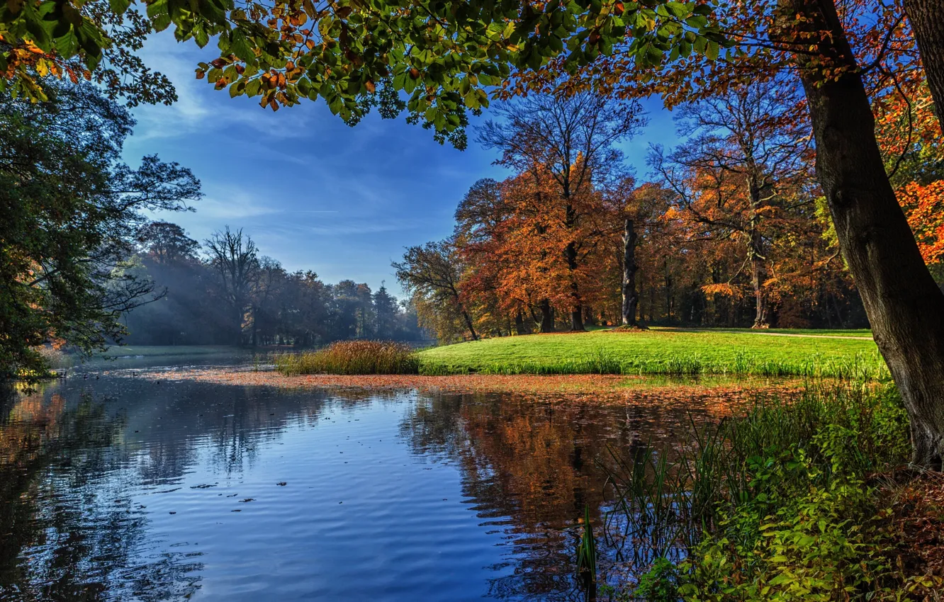 Фото обои осень, трава, лучи, свет, деревья, пейзаж, природа, пруд, парк, лужайка