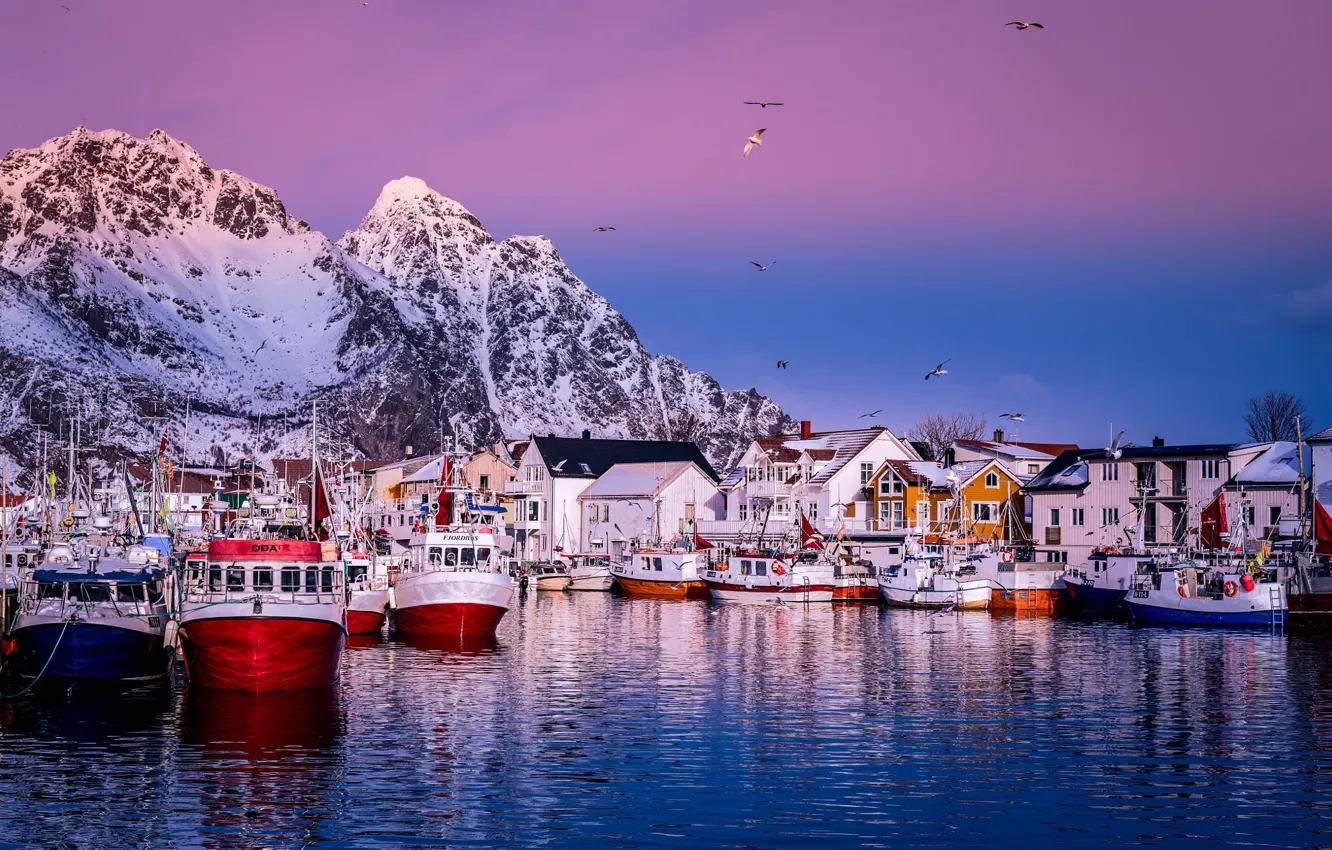 Фото обои море, пейзаж, горы, птицы, скалы, побережье, пристань, дома, корабли, лодки, утро, причал, деревня, Норвегия, Лофотенские …