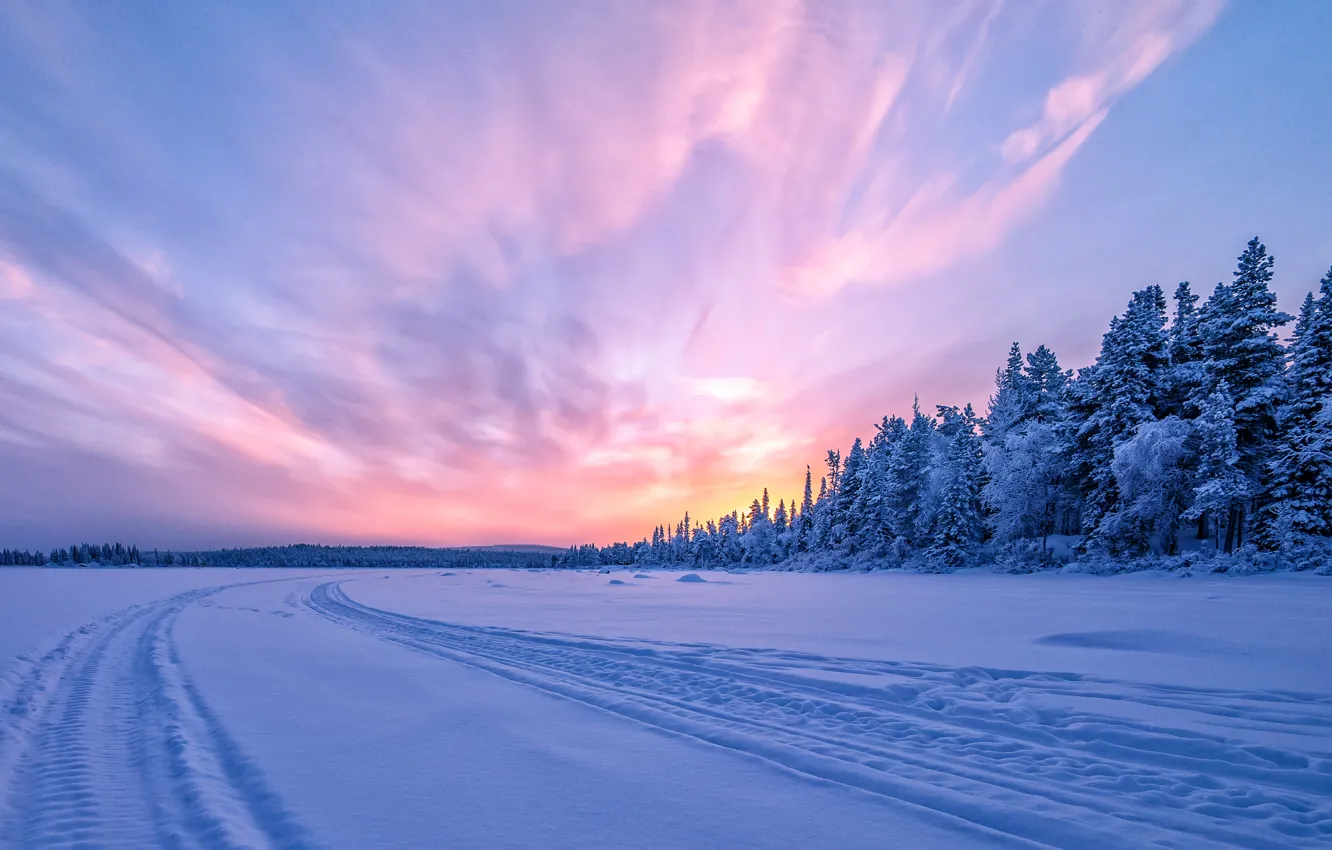 Фото обои зима, лес, снег, закат, Швеция, Sweden, замёрзшая река, Torne River, Река Турнеэльвен